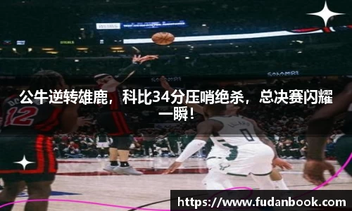JBO官网网址